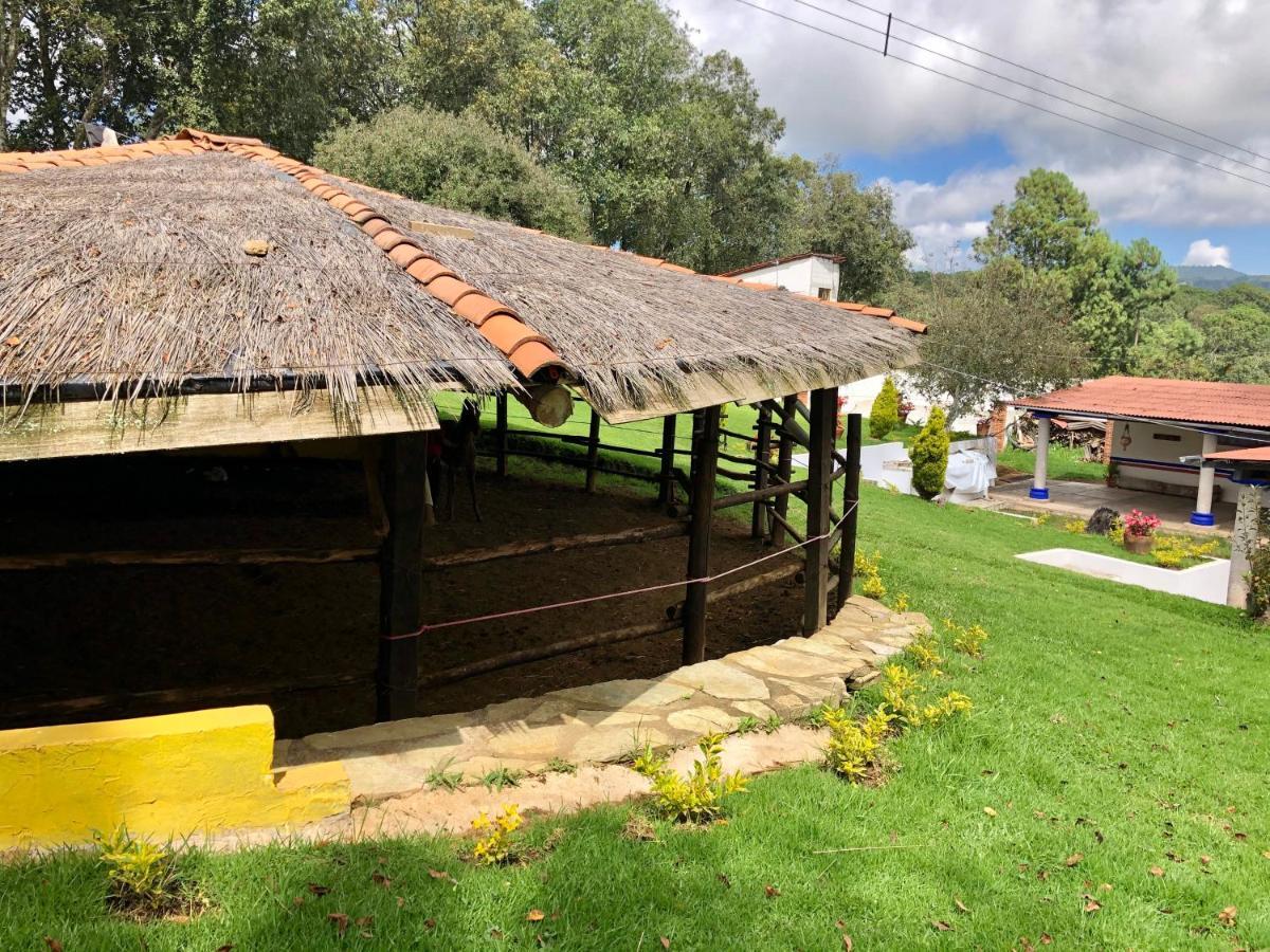 Cabanas El Pajar Zacatlán Eksteriør billede