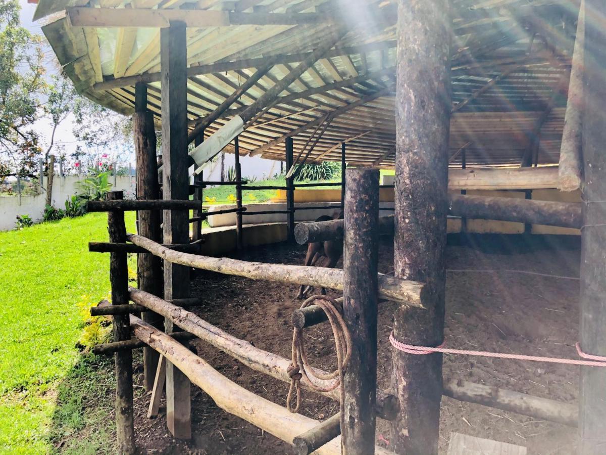 Cabanas El Pajar Zacatlán Eksteriør billede